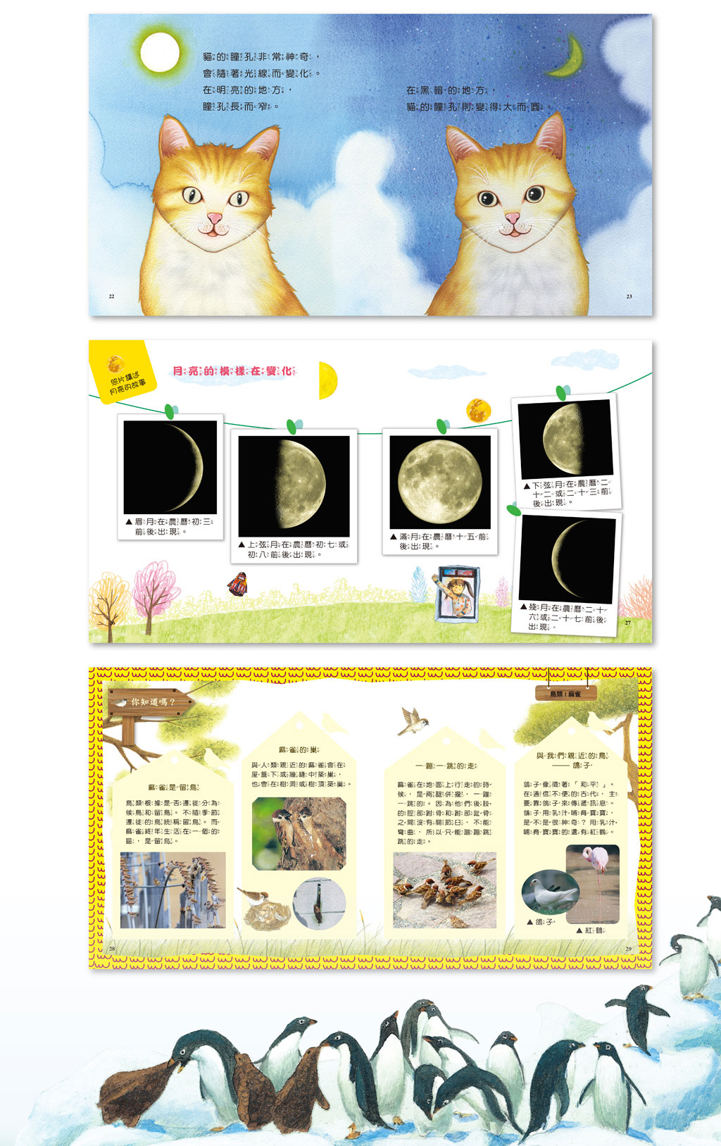 球球館-我家自然小百科-封底資訊